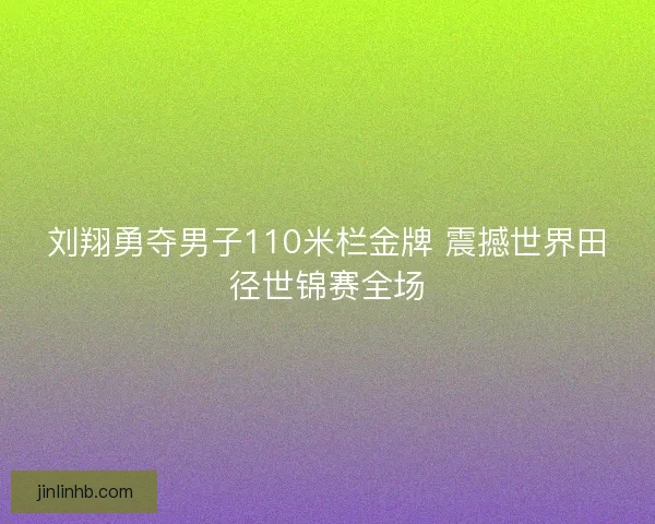 刘翔勇夺男子110米栏金牌 震撼世界田径世锦赛全场